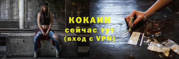 Альфа ПВП Дмитровск