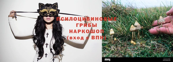 Альфа ПВП Дмитровск