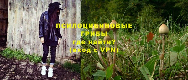 метадон Дмитриев