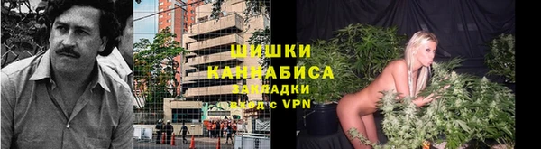 мяу мяу кристалл Дмитров
