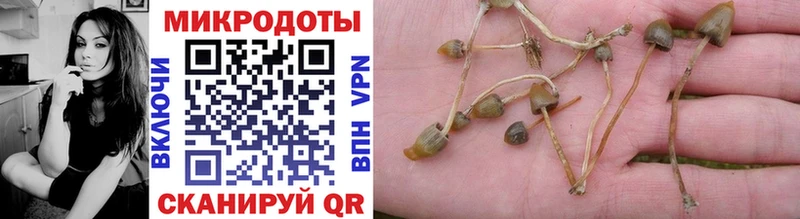 даркнет официальный сайт  Новый Уренгой  Псилоцибиновые грибы Magic Shrooms 